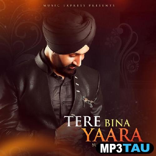 Tere-Bina-Yaara-Ft-Neetu-Bhalla Sukshinder Shinda mp3 song lyrics